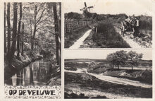 VELUWE - Meerluik op de Veluwe