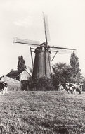 NUTH - Windmolen