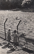 ZEIST - Hertenkamp