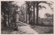 ST. MICHIELS GESTEL - Laan van Zegenwerp