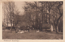 GELDERLAND - Geldersch Landschap