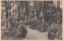 ZEDDAM-MONTFERLAND - Panorama