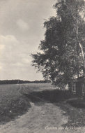 HIERDEN - Groeten van de Veluwe. Vakantie-centrum De Woudstee