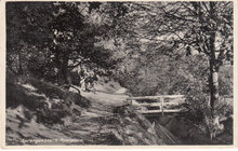 APELDOORN - Sprengenbosch