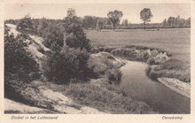 DENEKAMP - Dinkel in het Lutterzand