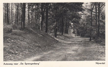 NIJVERDAL - Autoweg naar De Sprengenberg