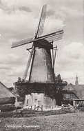 OOTMARSUM - Korenmolen