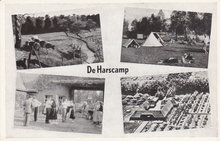 HARSKAMP - Meerluik de Harskamp