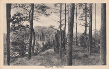 VELUWE - Veluwse Heuvels