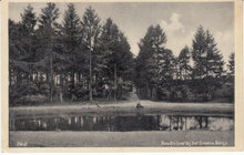 ZEIST - Boschvijver bij het Groene Bergje