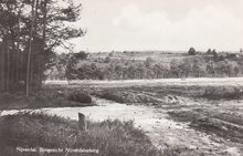 NIJVERDAL - Bosgezicht Nijverdalseberg