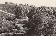 NIJVERDAL - Gezicht op de Nijverdalseberg