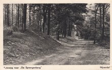 NIJVERDAL - Autoweg naar de Sprengenberg