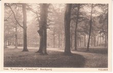 VELSEN - Gem. Wandelpark Velserbeek Boschpartij
