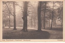 VELSEN - Gem. Wandelpark Velserbeek Boschpartij