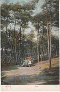 ZEIST - Bosch