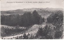 BERGEN - SCHOORL - Panorama bij Duivelsbosch in de Duinen tusschen Bergen en Schoorl