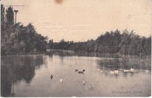 UTRECHT - Wilhelminapark