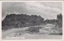 VELUWE - Boschgezicht