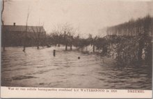 DREUMEL - Wat er overbleef van enkele Boomgaarden b/d Watersnood in 1926