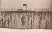 DREUMEL - Een verwoeste Kweekerij b/d Watersnood in 1926