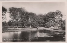 BAARN - Baarnse Bos Grote Kom