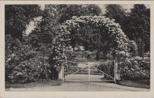 UTRECHT - Rosarium