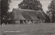 VLEDDER - Saksische Boerderij