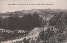 BERGEN - SCHOORL - Panorama bij Duivelsbosch in de Duinen