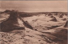 BERGEN - SCHOORL De Wildernis in de Duinen