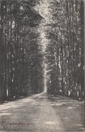 ELLECOM - Middachter-Allee