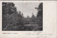 ZEIST - Vijver in 't Bosch