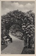 UTRECHT - Rosarium