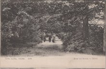 ZEIST - Door het Bosch