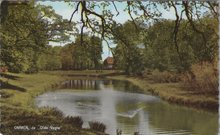 OMMEN - de Olde Vegte