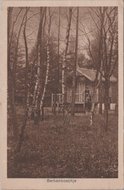 HEELSUM - Berkenboschje