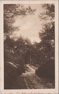 VELUWE - Een Veluwsch Boschjen