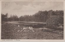 LAGE VUURSCHE - t Meertje