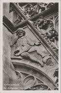 S HERTOGENBOSCH - De Erwtenman Fragment Basiliek St. Jan