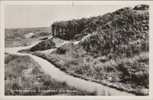 SCHIERMONNIKOOG - Schelpenpad 2de dennen