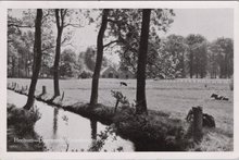HEELSUM - Keijenberge Beek