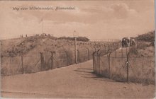 BLOEMENDAAL - Weg naar Wilhelminaduin