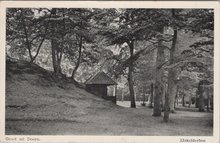 DOORN - IJkelderbos