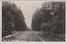 PUTTEN - van Eeghenlaan