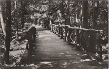 ZEIST - Bruggetje in het Zeisterbos