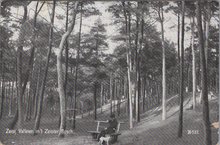 ZEIST - Valleien in 't Zeister Bosch