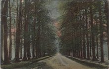 ZEIST - Koelaan