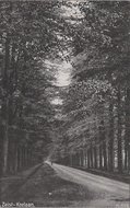 ZEIST - Koelaan