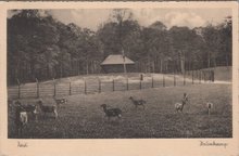 ZEIST - Hertenkamp