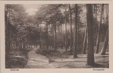 OISTERWIJK - Boschgezicht